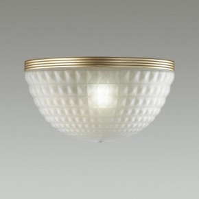 Накладной светильник Odeon Light Malaga 4936/1W в Ноябрьске - noyabrsk.mebel24.online | фото 2