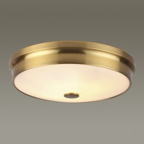 Накладной светильник Odeon Light Marsei 4824/4C в Ноябрьске - noyabrsk.mebel24.online | фото 2