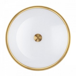 Накладной светильник Odeon Light Marsei 4824/4C в Ноябрьске - noyabrsk.mebel24.online | фото 3