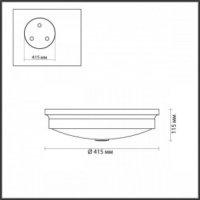 Накладной светильник Odeon Light Marsei 4824/4C в Ноябрьске - noyabrsk.mebel24.online | фото 4