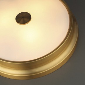 Накладной светильник Odeon Light Marsei 4824/4C в Ноябрьске - noyabrsk.mebel24.online | фото 5