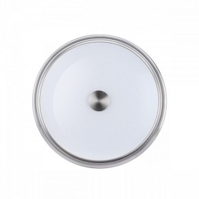 Накладной светильник Odeon Light Marsei 4825/3C в Ноябрьске - noyabrsk.mebel24.online | фото 2