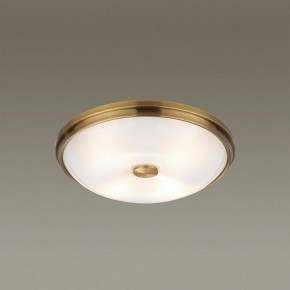 Накладной светильник Odeon Light Pelow 4956/4 в Ноябрьске - noyabrsk.mebel24.online | фото 2