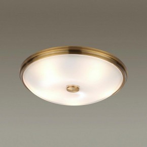 Накладной светильник Odeon Light Pelow 4956/5 в Ноябрьске - noyabrsk.mebel24.online | фото 2