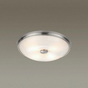 Накладной светильник Odeon Light Pelow 4957/4 в Ноябрьске - noyabrsk.mebel24.online | фото 2