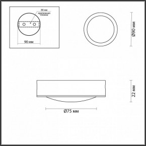 Накладной светильник Odeon Light Reus 4342/7CL в Ноябрьске - noyabrsk.mebel24.online | фото 4
