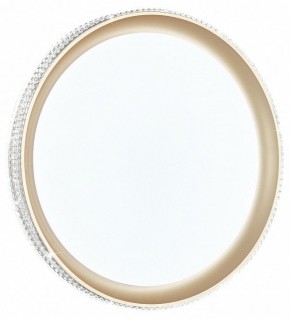 Накладной светильник Sonex Shiny 3054/EL в Ноябрьске - noyabrsk.mebel24.online | фото 2