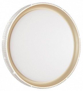 Накладной светильник Sonex Shiny 3054/EL в Ноябрьске - noyabrsk.mebel24.online | фото 3