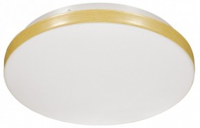 Накладной светильник Sonex Smalli 3066/CL в Ноябрьске - noyabrsk.mebel24.online | фото 1