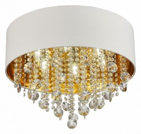 Накладной светильник ST-Luce Lacchia SL1350.502.06 в Ноябрьске - noyabrsk.mebel24.online | фото 3