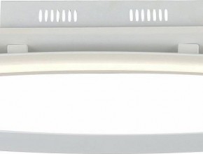 Накладной светильник ST-Luce SL920 SL920.102.01 в Ноябрьске - noyabrsk.mebel24.online | фото 2