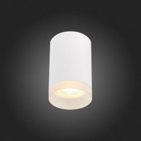 Накладной светильник ST-Luce ST100 ST100.502.01 в Ноябрьске - noyabrsk.mebel24.online | фото 4