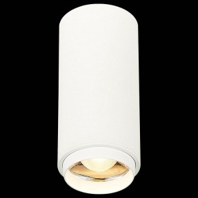 Накладной светильник ST-Luce Zoom ST600.532.10 в Ноябрьске - noyabrsk.mebel24.online | фото 4