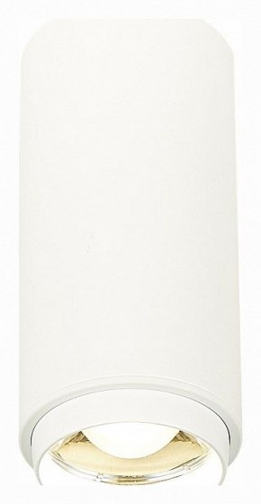 Накладной светильник ST-Luce Zoom ST600.542.10 в Ноябрьске - noyabrsk.mebel24.online | фото 2