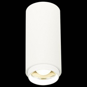 Накладной светильник ST-Luce Zoom ST600.542.10 в Ноябрьске - noyabrsk.mebel24.online | фото 3