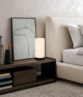 Настольная лампа декоративная Eglo Feniglia 900861 в Ноябрьске - noyabrsk.mebel24.online | фото 2