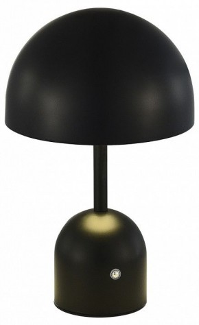 Настольная лампа декоративная EVOLUCE Eclat SLE1806-404-01 в Ноябрьске - noyabrsk.mebel24.online | фото 2