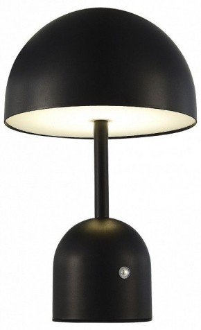 Настольная лампа декоративная EVOLUCE Eclat SLE1806-404-01 в Ноябрьске - noyabrsk.mebel24.online | фото 3