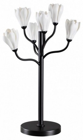 Настольная лампа декоративная Odeon Light Gardi 5090/6T в Ноябрьске - noyabrsk.mebel24.online | фото