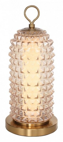 Настольная лампа декоративная ST-Luce SAGUARO SL6144.304.01 в Ноябрьске - noyabrsk.mebel24.online | фото 2