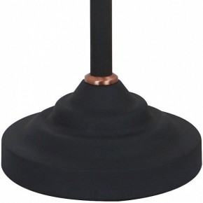 Настольная лампа офисная Arte Lamp Braccio A2054LT-1BK в Ноябрьске - noyabrsk.mebel24.online | фото 4