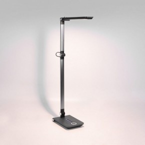 Настольная лампа офисная Elektrostandard Great a065290 в Ноябрьске - noyabrsk.mebel24.online | фото 3