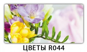 Обеденный раздвижной стол Бриз с фотопечатью Доска D111 в Ноябрьске - noyabrsk.mebel24.online | фото 11