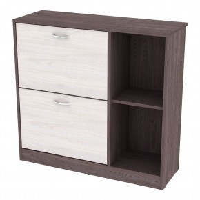 Обувница W29 (ЯАТ-ЯАС) в Ноябрьске - noyabrsk.mebel24.online | фото
