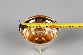 Подвесная люстра Aployt Daniele APL.701.03.12 в Ноябрьске - noyabrsk.mebel24.online | фото 6