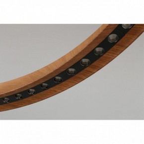 Подвесная люстра Aployt Justyna APL.787.03.75 в Ноябрьске - noyabrsk.mebel24.online | фото 10