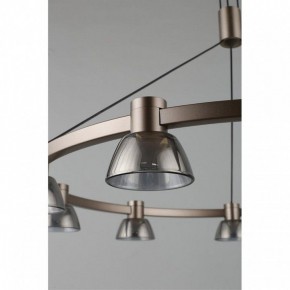 Подвесная люстра Aployt Rezeda APL.788.03.09 в Ноябрьске - noyabrsk.mebel24.online | фото 14