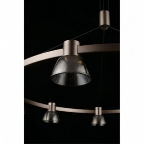 Подвесная люстра Aployt Rezeda APL.788.03.09 в Ноябрьске - noyabrsk.mebel24.online | фото 16