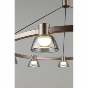 Подвесная люстра Aployt Rezeda APL.788.03.09 в Ноябрьске - noyabrsk.mebel24.online | фото 8