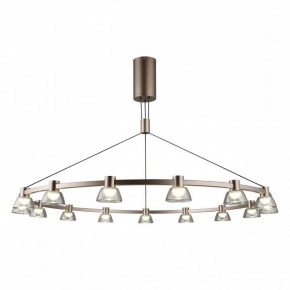 Подвесная люстра Aployt Rezeda APL.788.03.15 в Ноябрьске - noyabrsk.mebel24.online | фото 2