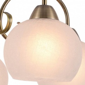 Подвесная люстра Arte Lamp Margo A9317LM-5AB в Ноябрьске - noyabrsk.mebel24.online | фото 2