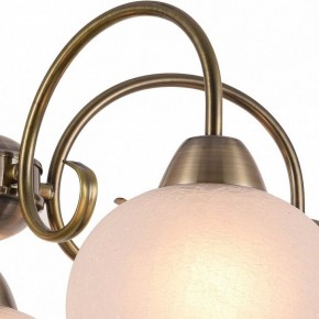 Подвесная люстра Arte Lamp Margo A9317LM-5AB в Ноябрьске - noyabrsk.mebel24.online | фото 3