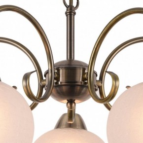 Подвесная люстра Arte Lamp Margo A9317LM-5AB в Ноябрьске - noyabrsk.mebel24.online | фото 4