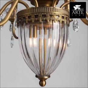 Подвесная люстра Arte Lamp Schelenberg A4410LM-6-2SR в Ноябрьске - noyabrsk.mebel24.online | фото 3