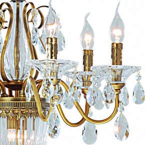 Подвесная люстра Arte Lamp Schelenberg A4410LM-6-2SR в Ноябрьске - noyabrsk.mebel24.online | фото 4