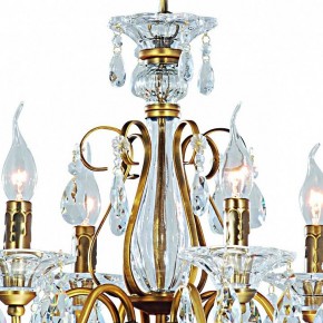 Подвесная люстра Arte Lamp Schelenberg A4410LM-6-2SR в Ноябрьске - noyabrsk.mebel24.online | фото 5