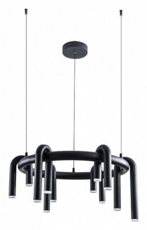 Подвесная люстра Arte Lamp Warhol A3258LM-30BK в Ноябрьске - noyabrsk.mebel24.online | фото