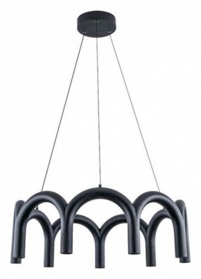 Подвесная люстра Arte Lamp Warhol A3258LM-45BK в Ноябрьске - noyabrsk.mebel24.online | фото 2