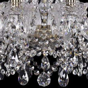 Подвесная люстра Bohemia Ivele Crystal 1411 1411/10/195/Pa в Ноябрьске - noyabrsk.mebel24.online | фото 3