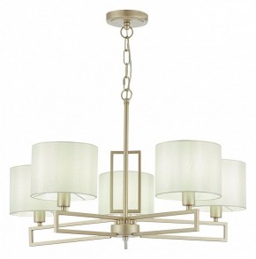 Подвесная люстра EVOLUCE Danae SLE105803-05 в Ноябрьске - noyabrsk.mebel24.online | фото 2
