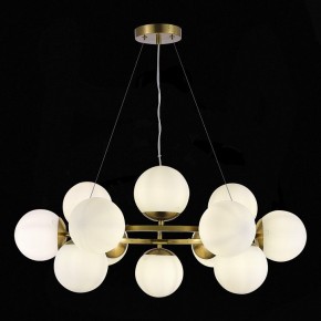 Подвесная люстра EVOLUCE Fratta SLE1191-203-12 в Ноябрьске - noyabrsk.mebel24.online | фото 4