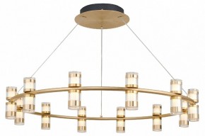 Подвесная люстра Favourite Ampullen 4323-12P в Ноябрьске - noyabrsk.mebel24.online | фото 2