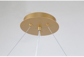 Подвесная люстра Favourite Ginkoa 4080-10P в Ноябрьске - noyabrsk.mebel24.online | фото 9