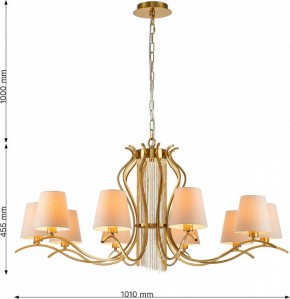 Подвесная люстра Favourite Ketten 2867-10P в Ноябрьске - noyabrsk.mebel24.online | фото 4