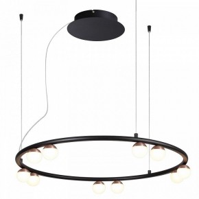 Подвесная люстра Favourite Knopp 4320-10P в Ноябрьске - noyabrsk.mebel24.online | фото 2