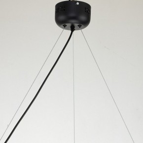 Подвесная люстра Favourite Light point 2997-6P в Ноябрьске - noyabrsk.mebel24.online | фото 11